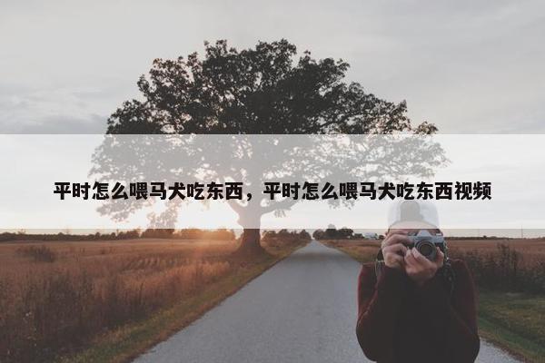 平时怎么喂马犬吃东西，平时怎么喂马犬吃东西视频