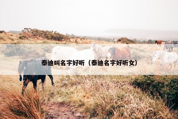 泰迪叫名字好听（泰迪名字好听女）