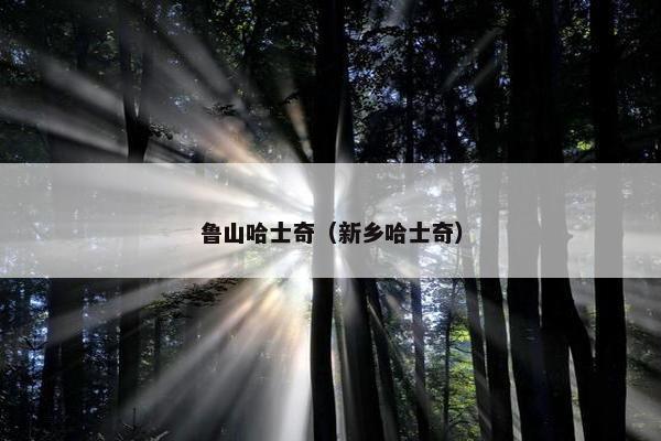 鲁山哈士奇（新乡哈士奇）