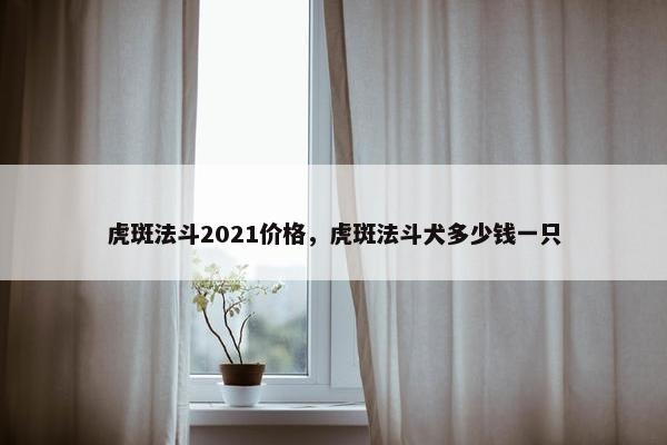 虎斑法斗2021价格，虎斑法斗犬多少钱一只