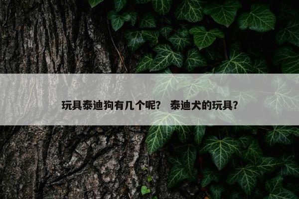 玩具泰迪狗有几个呢？ 泰迪犬的玩具？