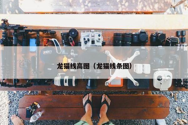 龙猫线高图（龙猫线条图）