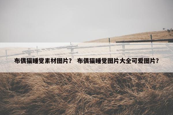 布偶猫睡觉素材图片？ 布偶猫睡觉图片大全可爱图片？