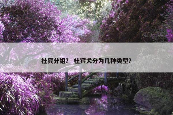 杜宾分组？ 杜宾犬分为几种类型？