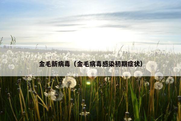 金毛新病毒（金毛病毒感染初期症状）