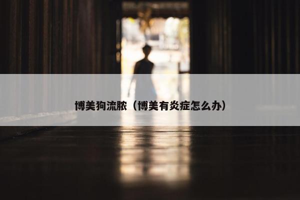 博美狗流脓（博美有炎症怎么办）