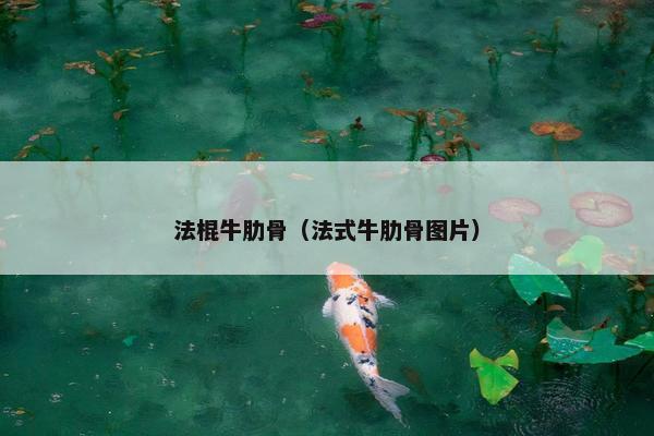 法棍牛肋骨（法式牛肋骨图片）