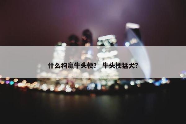 什么狗赢牛头梗？ 牛头梗猛犬？