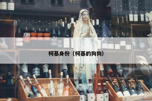 柯基身份（柯基的狗狗）