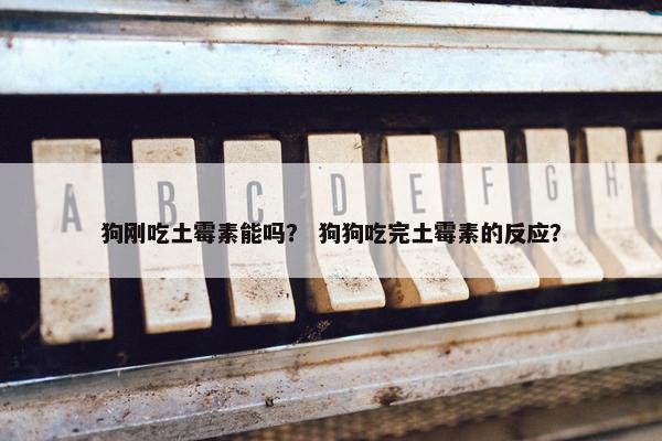 狗刚吃土霉素能吗？ 狗狗吃完土霉素的反应？