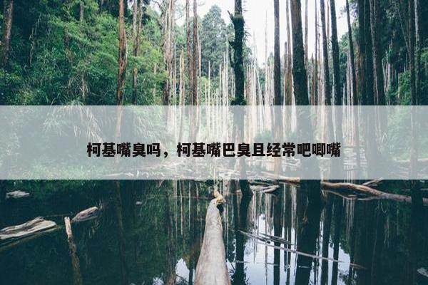 柯基嘴臭吗，柯基嘴巴臭且经常吧唧嘴