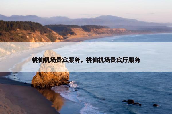 桃仙机场贵宾服务，桃仙机场贵宾厅服务