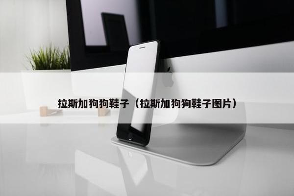拉斯加狗狗鞋子（拉斯加狗狗鞋子图片）