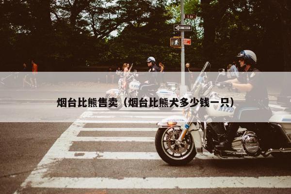 烟台比熊售卖（烟台比熊犬多少钱一只）