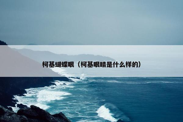 柯基蝴蝶眼（柯基眼睛是什么样的）