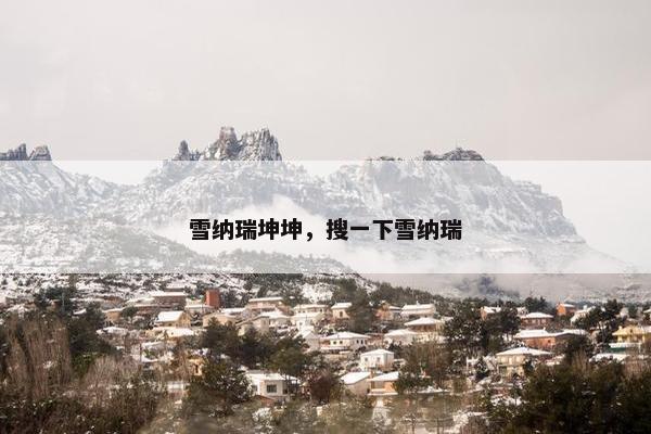 雪纳瑞坤坤，搜一下雪纳瑞