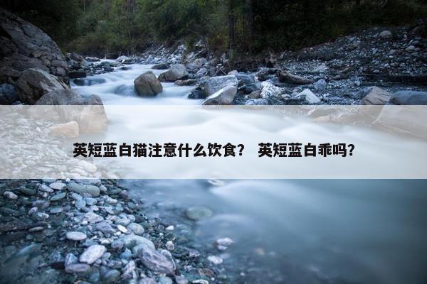 英短蓝白猫注意什么饮食？ 英短蓝白乖吗？