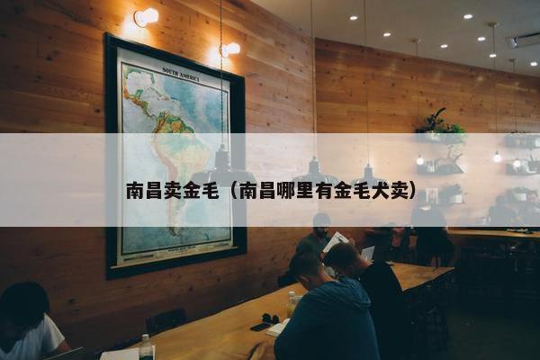 南昌卖金毛（南昌哪里有金毛犬卖）