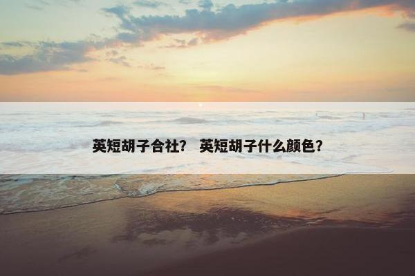英短胡子合社？ 英短胡子什么颜色？