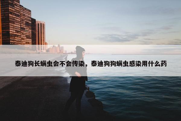 泰迪狗长螨虫会不会传染，泰迪狗狗螨虫感染用什么药