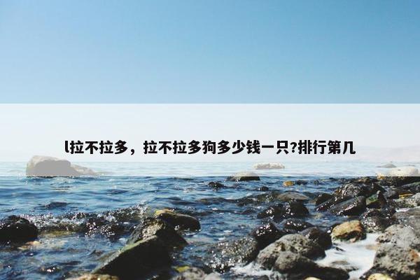 l拉不拉多，拉不拉多狗多少钱一只?排行第几