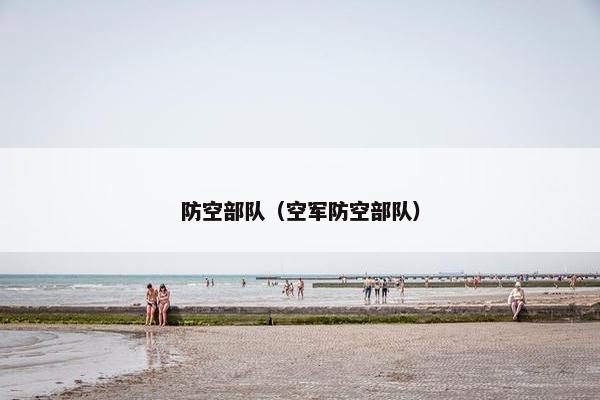 防空部队（空军防空部队）