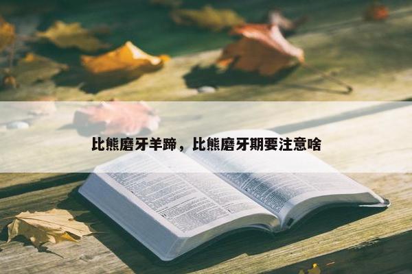 比熊磨牙羊蹄，比熊磨牙期要注意啥