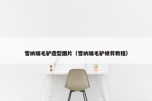 雪纳瑞毛驴造型图片（雪纳瑞毛驴修剪教程）