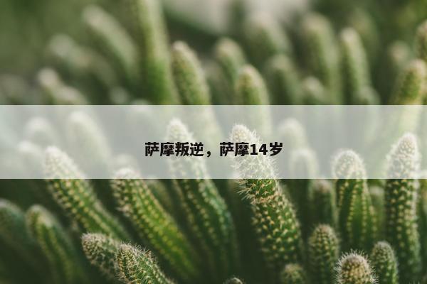 萨摩叛逆，萨摩14岁