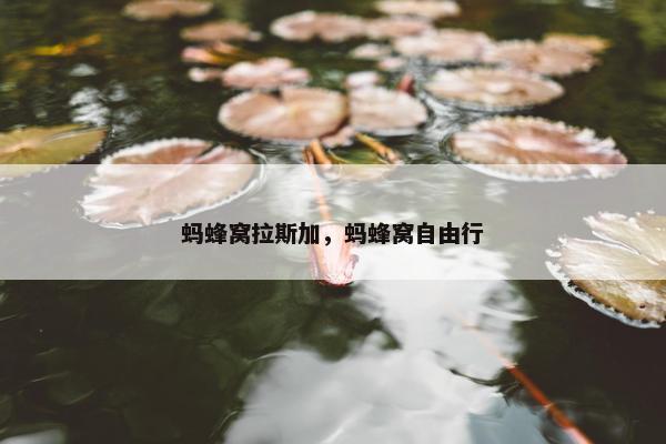 蚂蜂窝拉斯加，蚂蜂窝自由行