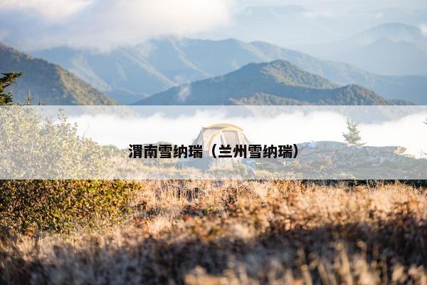 渭南雪纳瑞（兰州雪纳瑞）