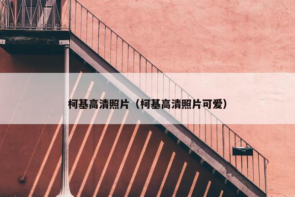 柯基高清照片（柯基高清照片可爱）