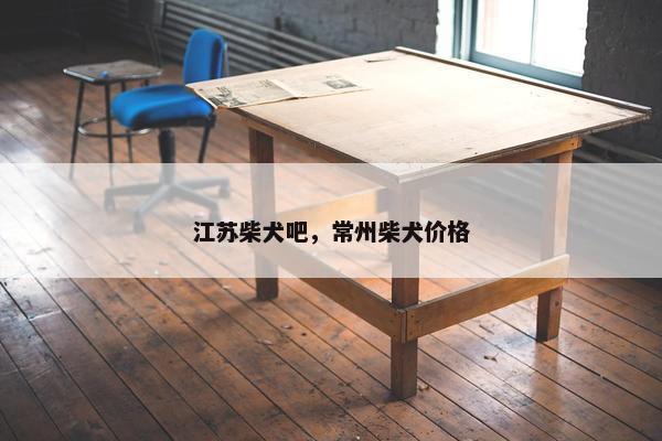 江苏柴犬吧，常州柴犬价格