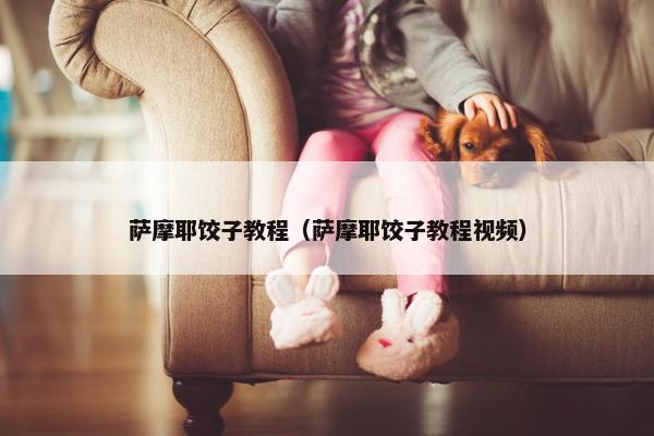 萨摩耶饺子教程（萨摩耶饺子教程视频）