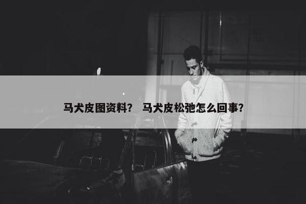 马犬皮图资料？ 马犬皮松弛怎么回事？