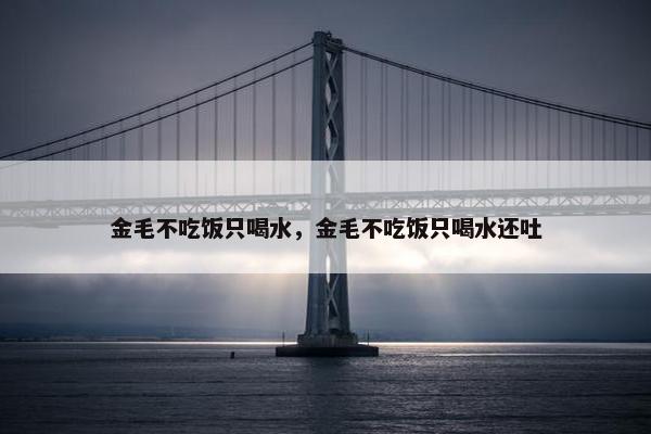 金毛不吃饭只喝水，金毛不吃饭只喝水还吐