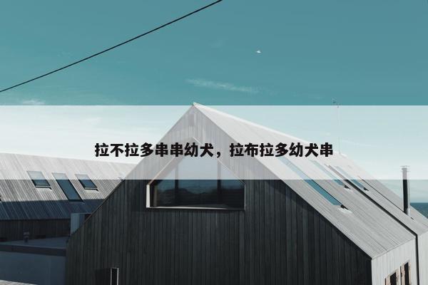 拉不拉多串串幼犬，拉布拉多幼犬串
