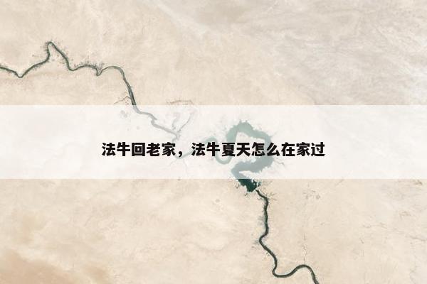 法牛回老家，法牛夏天怎么在家过