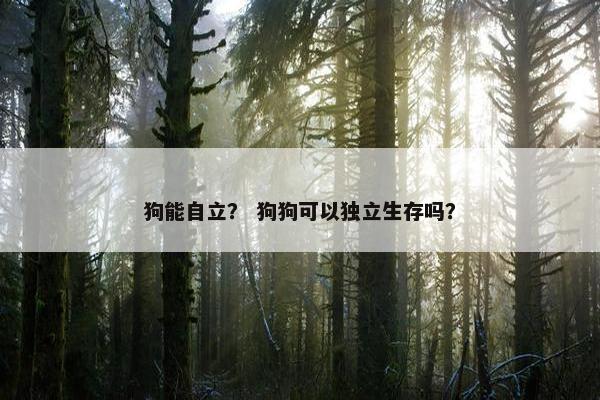 狗能自立？ 狗狗可以独立生存吗？