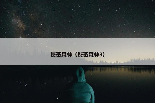 秘密森林（秘密森林3）