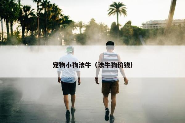 宠物小狗法牛（法牛狗价钱）