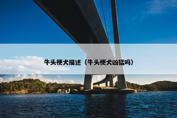 牛头梗犬描述（牛头梗犬凶猛吗）