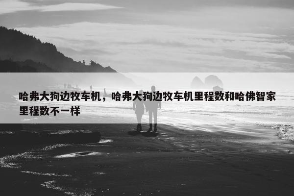 哈弗大狗边牧车机，哈弗大狗边牧车机里程数和哈佛智家里程数不一样
