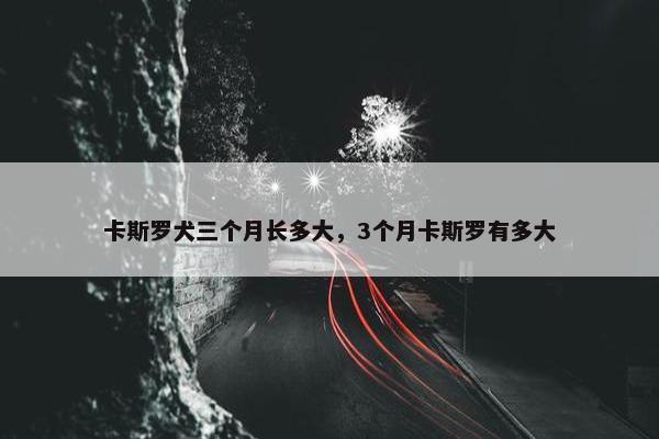 卡斯罗犬三个月长多大，3个月卡斯罗有多大