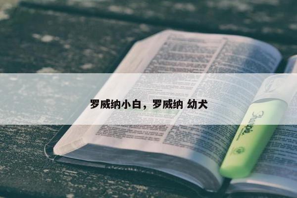 罗威纳小白，罗威纳 幼犬
