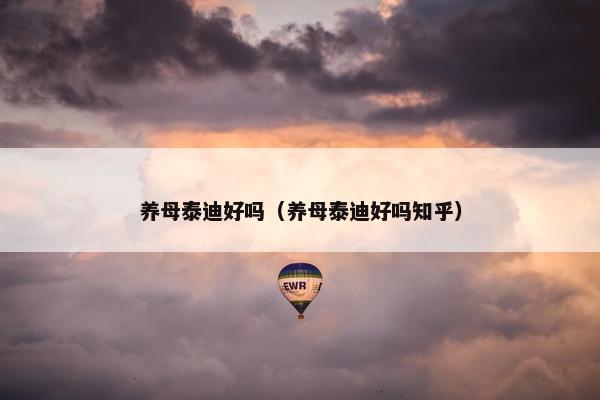 养母泰迪好吗（养母泰迪好吗知乎）