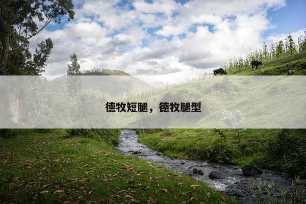 德牧短腿，德牧腿型