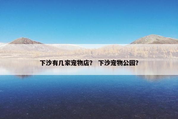 下沙有几家宠物店？ 下沙宠物公园？