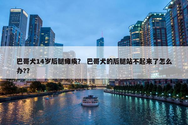 巴哥犬14岁后腿瘫痪？ 巴哥犬的后腿站不起来了怎么办?？