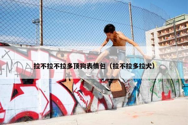 拉不拉不拉多顶狗表情包（拉不拉多拉犬）
